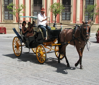 horse drawn cart in Spain